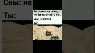 Мем (где контент?) 