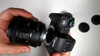 EF lens on EF-M mirrorless camera for Canon EOS M50 with Viltrox EF-EOSM adapter