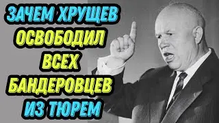 Why Khrushchev released all Banderovites from prisons