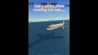 Garuda Indonesia flight 421…. 😭#shorts
