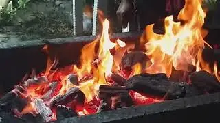 Bbq party