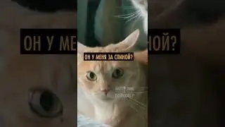 Любовный треугольник