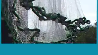 The Best Cast Net Since 1982 | Humpback Cast Nets