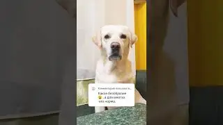А вашего мнения никто не спрашивал😘
