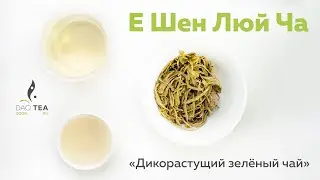 Е Шен Люй Ча «Дикорастущий зеленый чай»