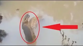 Жесть и рыбалка! Редкие случаи на рыбалке. Не повторять!