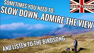 Slow Down, Admire the View and Listen to the Birdsong - Silver How, Lake District Easy Hike