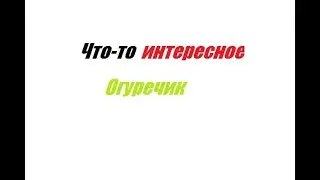 Последний ролик...                Что-то МАЙНКРАФТ!  Обзор сервера!