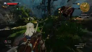 The Witcher 3
