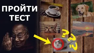 Пройти ТЕСТ! Супер психо тест Далай Ламы