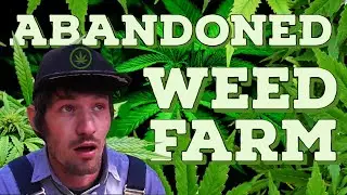 ILLEGAL IMMIGRANT finds ABANDONED CANNABIS GROW OPERATION (NOT CLICKBAIT!!!) motovlog 🌳🔥☁