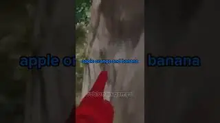 Did You Fall For That Trick?