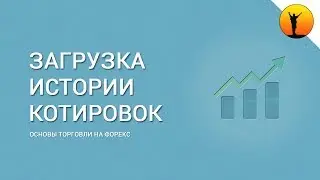 Как загрузить историю котировок на Форекс в торговый терминал МетаТрейдер
