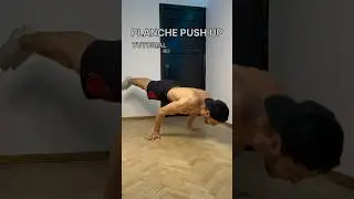 PLANCHE Push Up Tutorial 