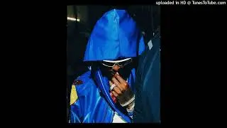 [FREE] PLAYBOI CARTI TYPE BEAT - ''PULSE''