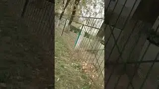 Дорога домой🏆🏞️