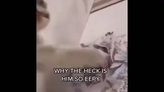 eepy ahh cat