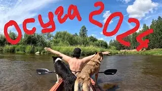 Осуга 2024