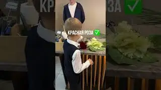 1 сентября 2024 г.