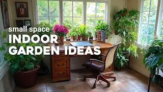 Best Indoor Garden Ideas for Small Spaces: Bringing the Great Outdoors Inside