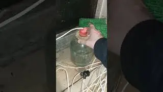 Баночка для обогрева циплят: почему она хороша?