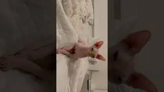 Добыча Шанти😃 