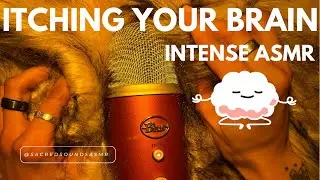 ASMR Itching Your Brain for 15 Minutes to Help You Sleep, Fur Triggers Only 😴