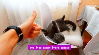 СЕРИАЛ КОТ LOKI 1 СЕЗОН 1 СЕРИЯ LOKI ВСТРЕЧАЕТ С МАГАЗИНА