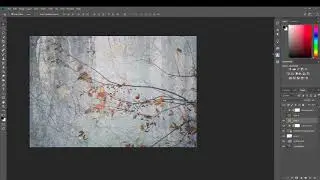 Creating an Image with textures in Photoshop
