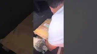 MAY KITA TALAGA SA BRAHMA CHICKEN|BIG CHICKEN|HERITAGE CHICKEN