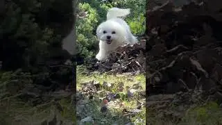 Ну как хорош!