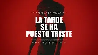 Dr. Kucho!  - La Tarde Se Ha Puesto Triste | Robert Georgescu and White Remix