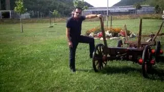 Vetem Tii