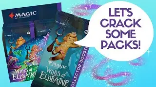 Confetti Hunters' Eldraine Expedition: A Fairytale Adventure!
