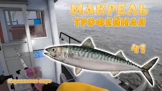 Русская рыбалка 4 - МАКРЕЛЬ ТРОФЕЙНАЯ! НОРВЕЖСКОЕ МОРЕ! Ловлю на пилкер!