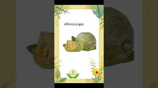 மருத்துவக்  குறிப்பு  03 #shortsfeed #tamil