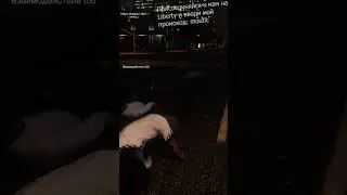 Arizona GTA5 RP Типичная ночь на рп сервере #arizona #gta5 #rp