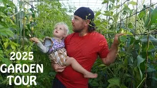 1/2 acre Garden tour on our New Zealand homestead (2025)