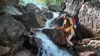 Wild camping | Outdoor survival deep in forest, relax in tent | Wild Cooking | Girl Bushcraft
