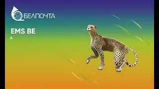 НАШИ УСЛУГИ | EMS