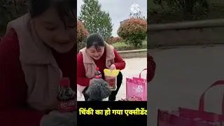 चिंकी का हो गया एक्सीडेंट #shorts #viral #shortvideo #tranding on shorts #ytshorts #legaljobncr #dog