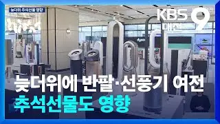 늦더위에 반팔·선풍기 여전…추석선물도 영향 / KBS  2024.09.08.