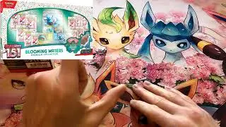 LE COFFRET PREMIUM EAUX FLORISSANTES SERIE POKEMON 151 12 BOOSTERS POUR 2025