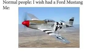 Mustang??