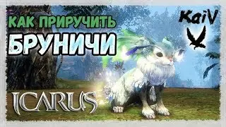 Icarus. Как приручить Бруничи.