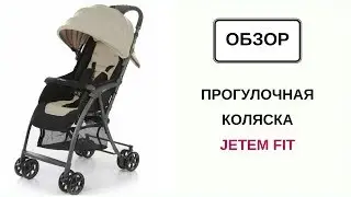 Прогулочная коляска Jetem Fit