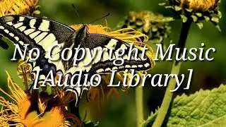 Newsroom || No Copyright Music
    [Audio Library]