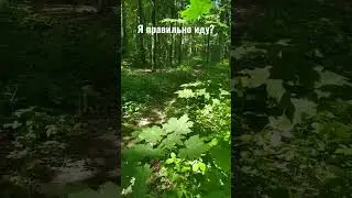 Я правильно иду?