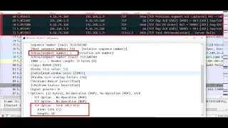 CCNA 200-301 :: 12.How Selective Acknowledgment(SACK) works in TCP using Wireshark  in English