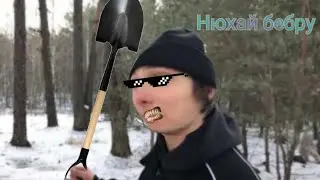 Нюхай бебру во всех скоростях (×0,25 - ×8)